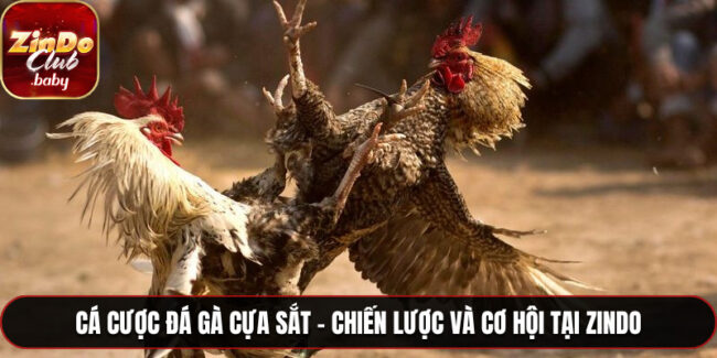 Đá gà cựa sắt