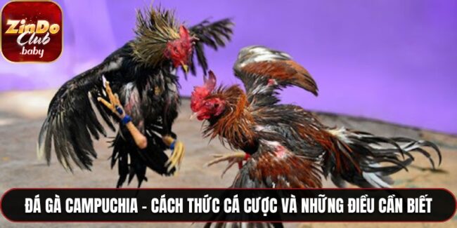 Đá gà Campuchia