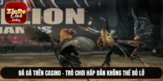 Đá gà trên casino