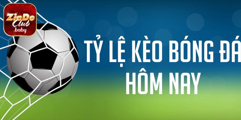 Những thay đổi tỷ lệ cá cược mới nhất