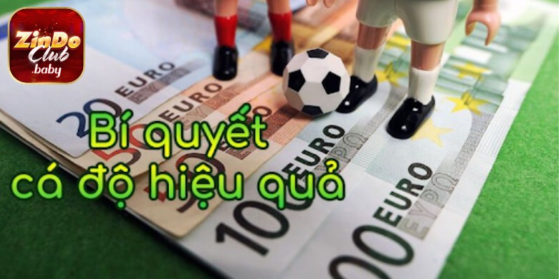 Zindo chia sẻ những mẹo cá cược quan trọng